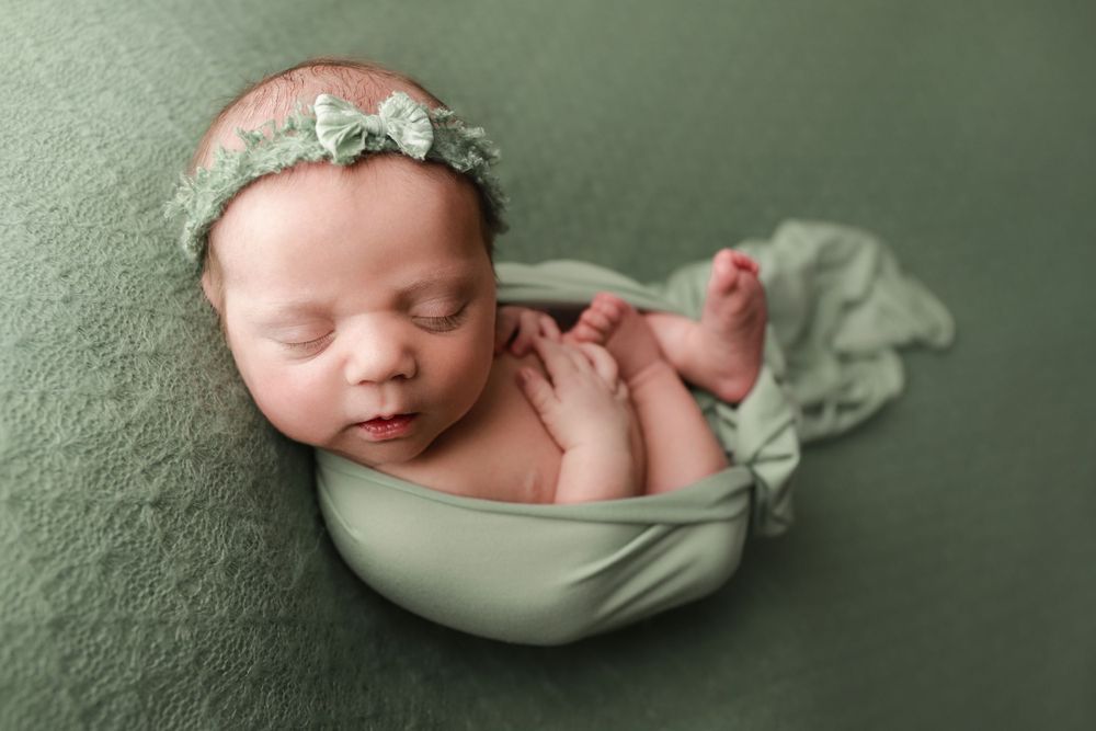 newborn baby girl posed portrait