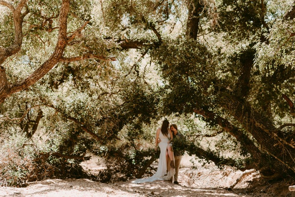 A Couple in a Tree During an Elopement at Enchanted Rock in Fredericksburg Texas