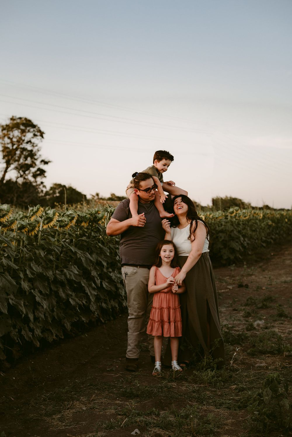A Family Plays Together in a Sunflower Field in New Braunfels, Texas