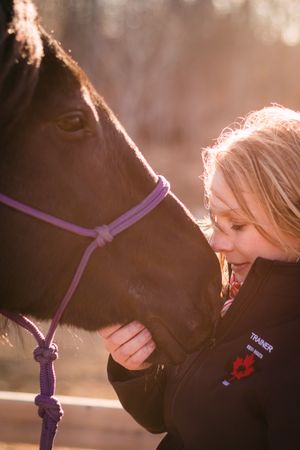 Young blonde girl smiling and nuzzling a dark horse with a purple halter in warm sunlight.