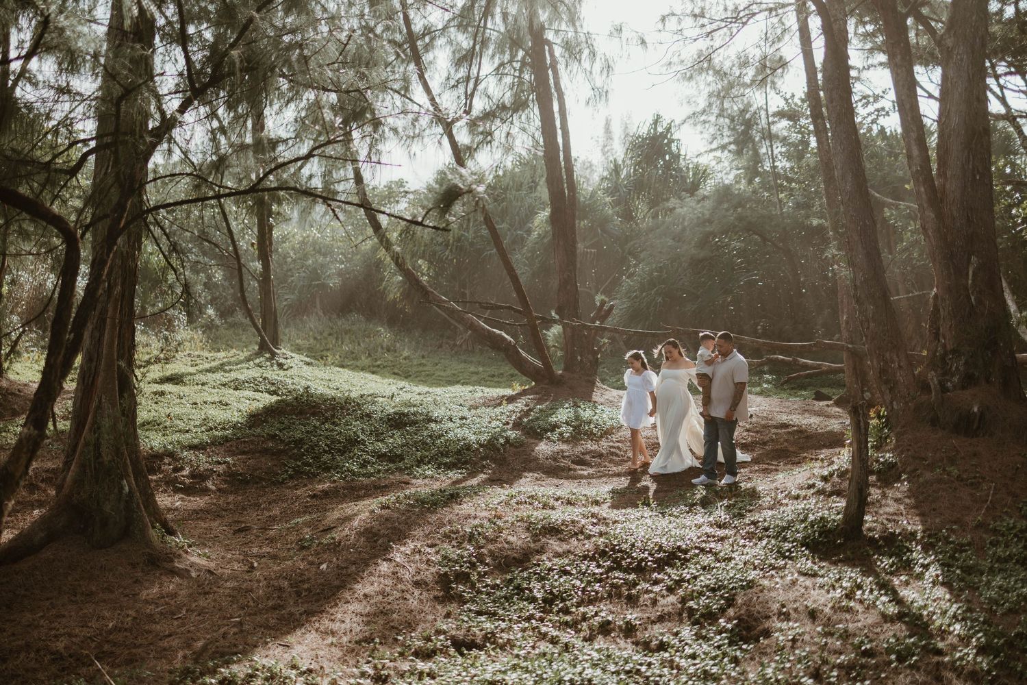 Group walking through a sunlit forest clearing with rays of light filtering through trees.