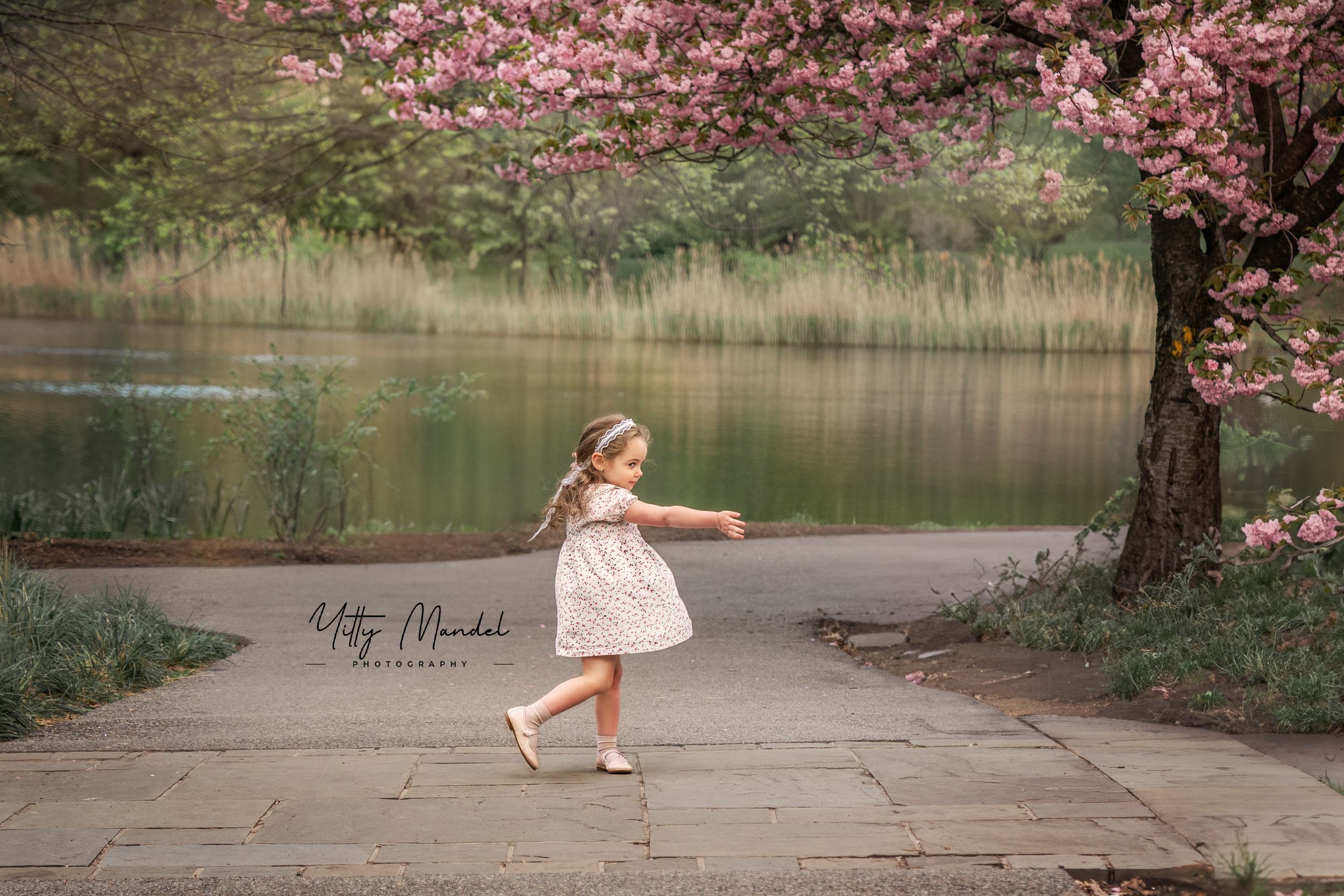 cherry blossom spring dance yittymandelphotography