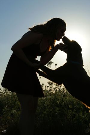 silhouette of a girl kissing her dog