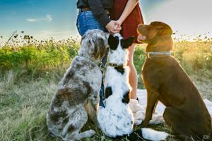 three dogs sitting at the feet of their owners who are holding hands