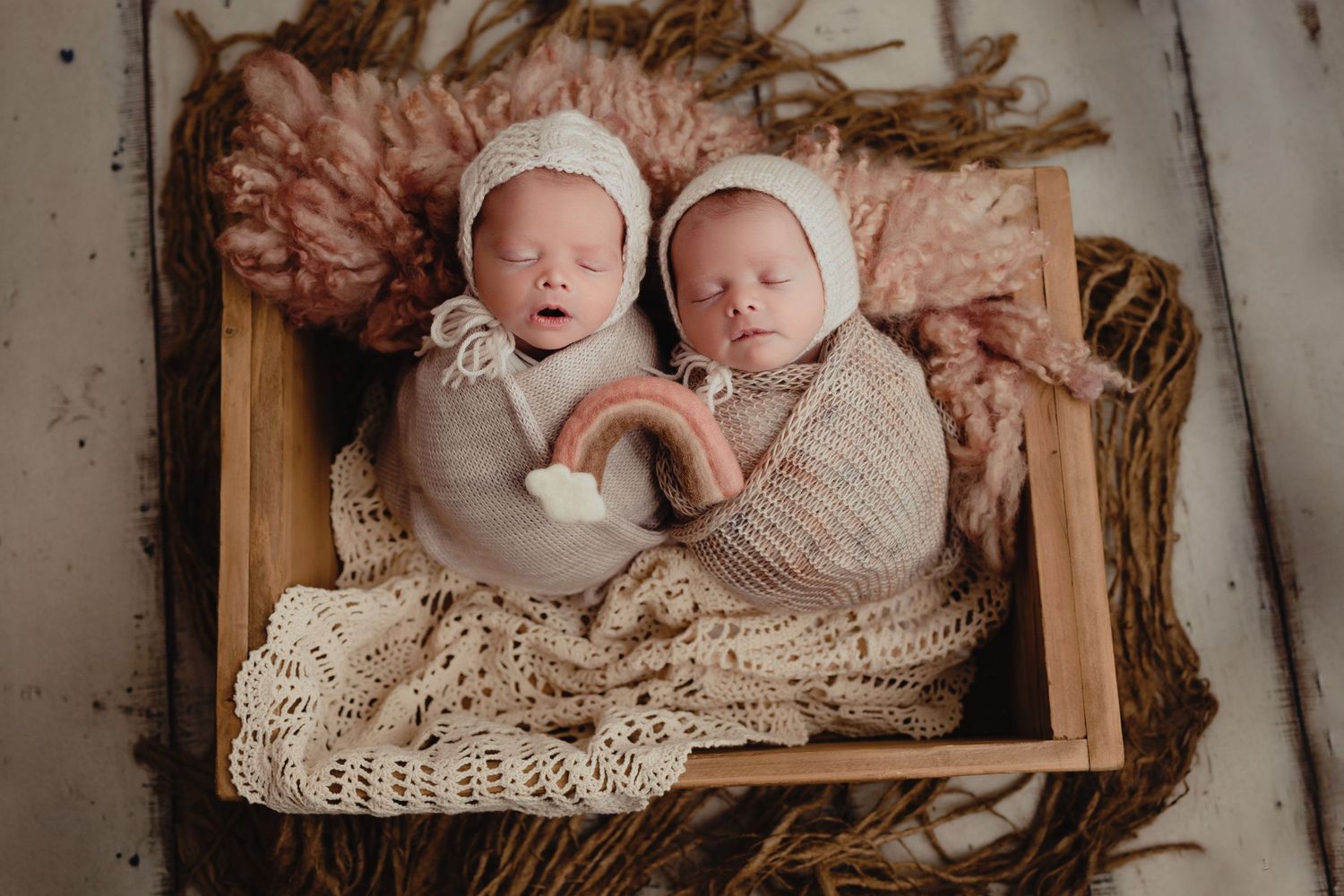 tampa florida baby newborn session