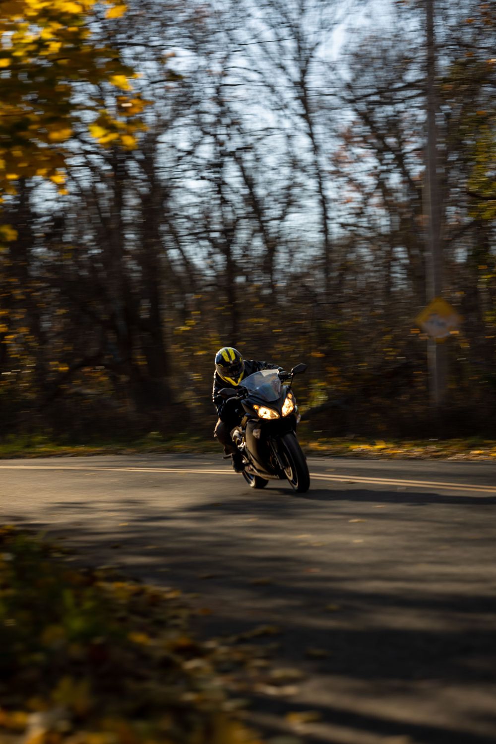 Sport bike rider navigating curved autumn road with golden trees in background.