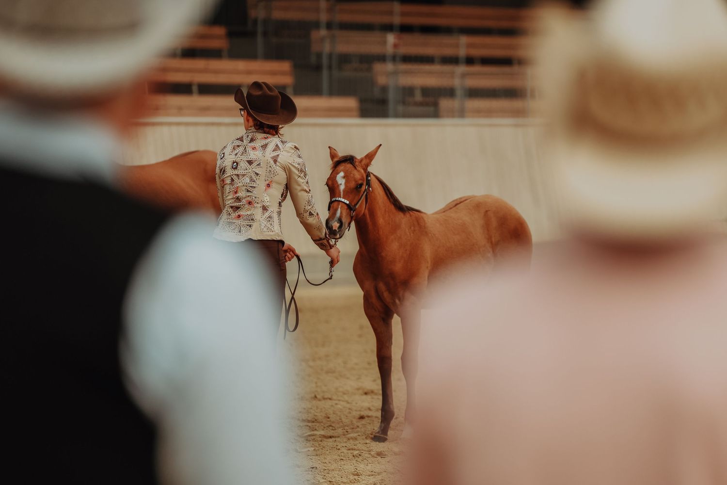A chestnut horse being presented in a western show arena.