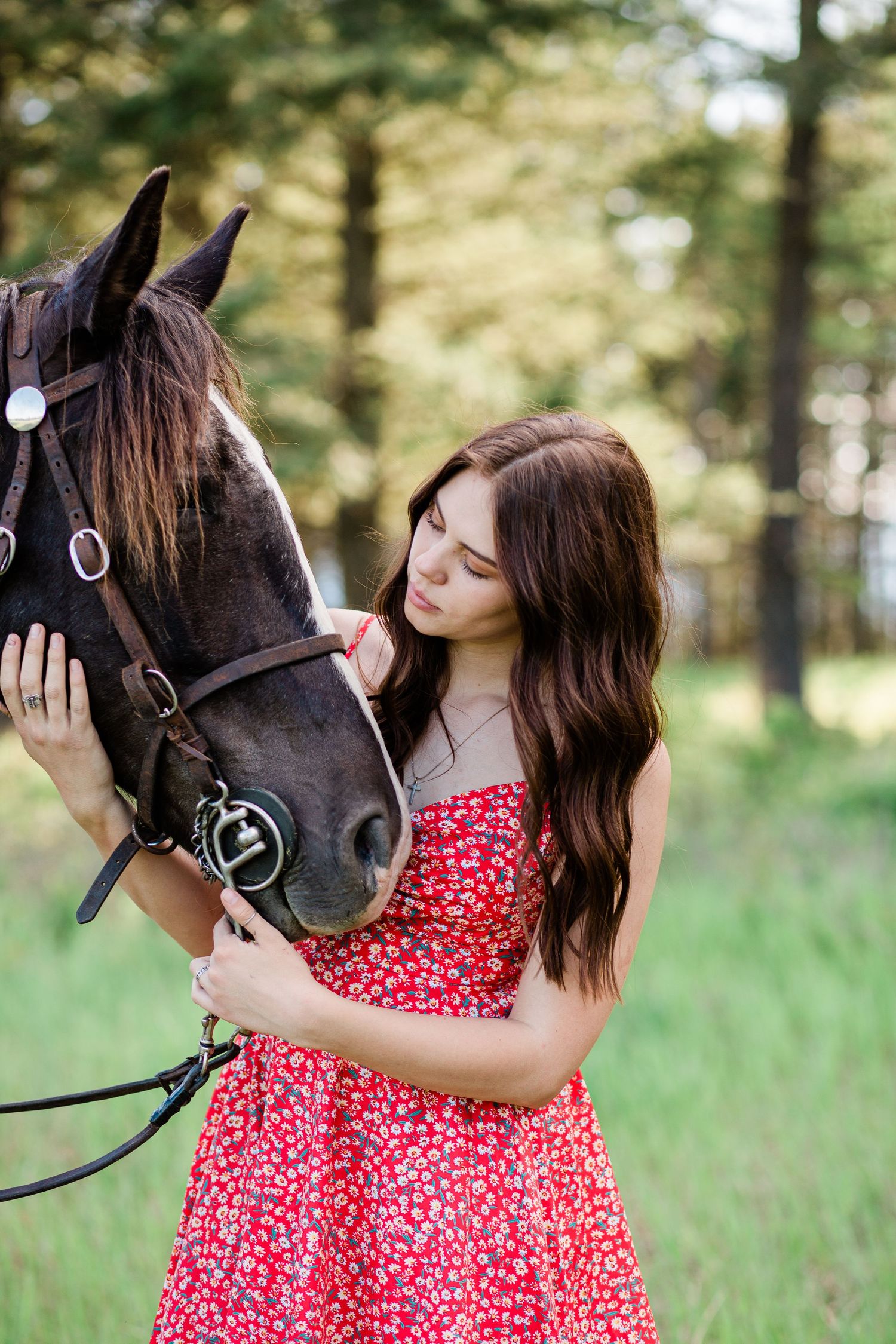 Montana cowgirl and horse