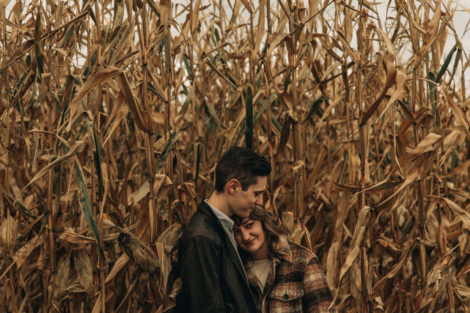 A cozy autumn portrait amidst dry corn stalks at golden hour.