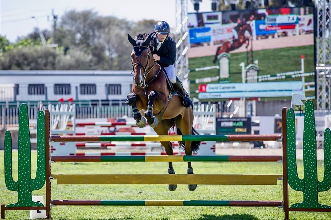 Show jumper clearing cactus-decorated fence obstacle during competition.