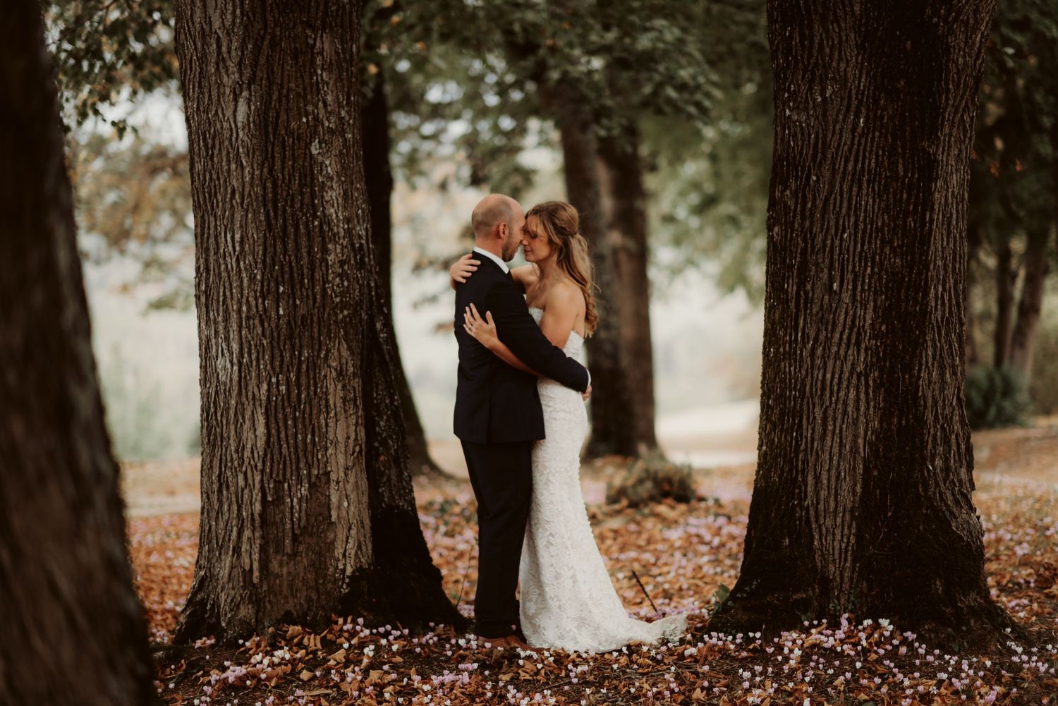 A romantic moment between newlyweds standing between two large tree trunks with autumn leaves.