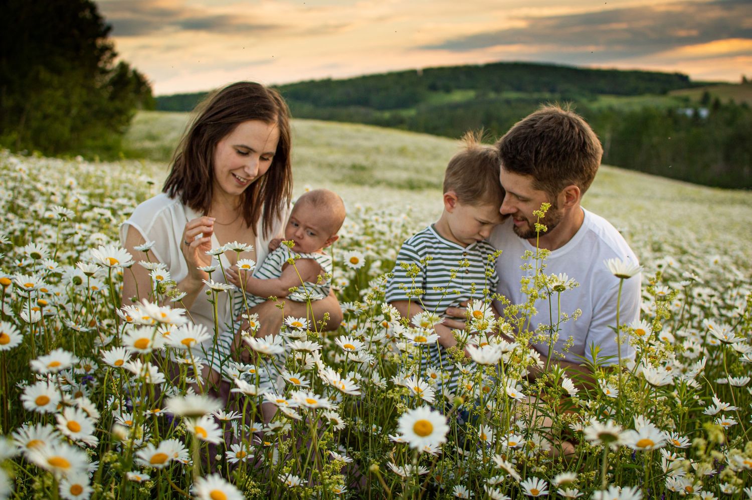Family sitting together in a blooming daisy field at sunset enjoying a tender moment in nature.