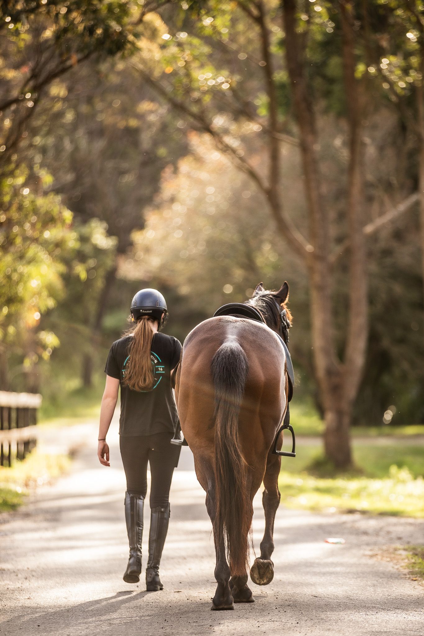 Equestrian photography.