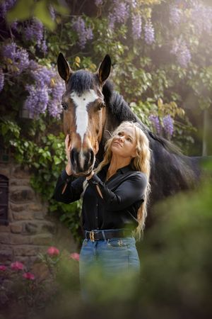 cob horse stockport photography equine