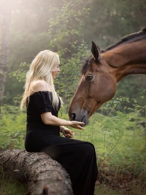 delamere photography equine