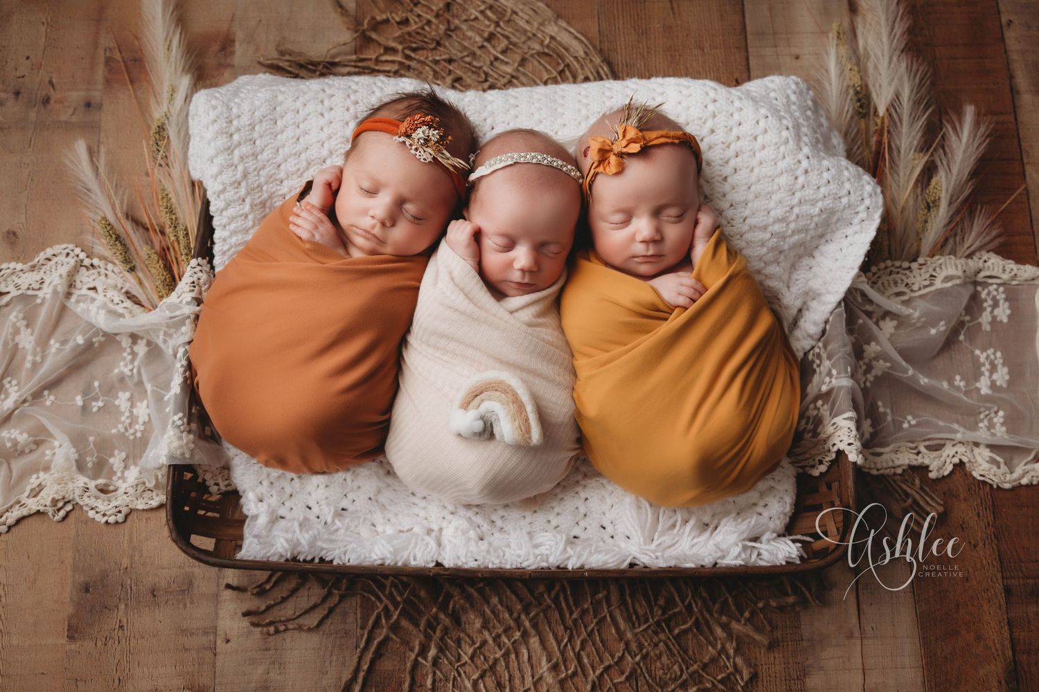 Tampa Newborn Photography- Triplet babies in a basket
