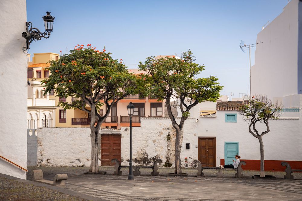 Sunny plaza with orange trees, white walls, and wooden doors in a quiet Spanish colonial square.