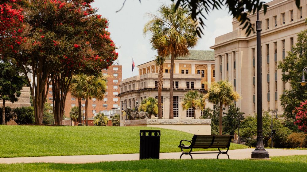 Lush green park with palm trees, blooming red trees, a bench, and historic buildings in the background.