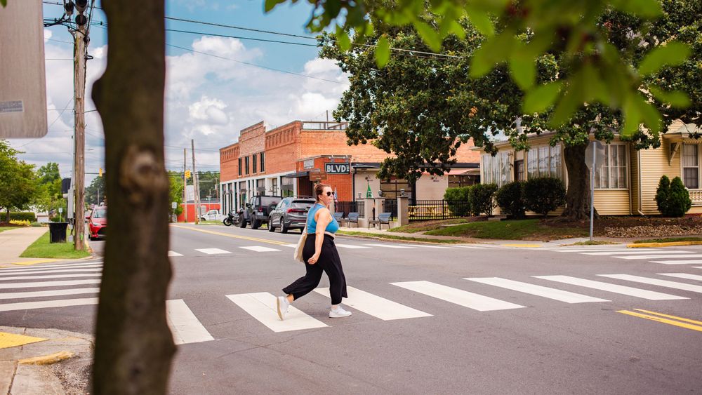 A pedestrian crosses a zebra crossing on a sunny suburban street lined with brick buildings and green trees.