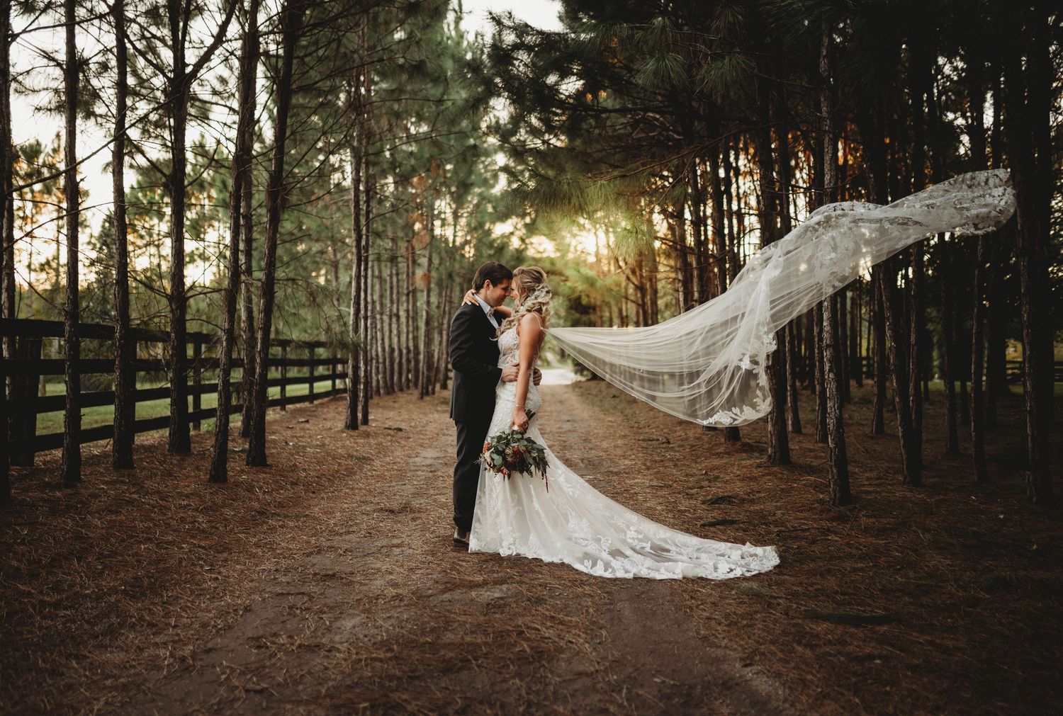 Dramatic wedding photo in pine forest with flowing veil catching sunlight through trees.