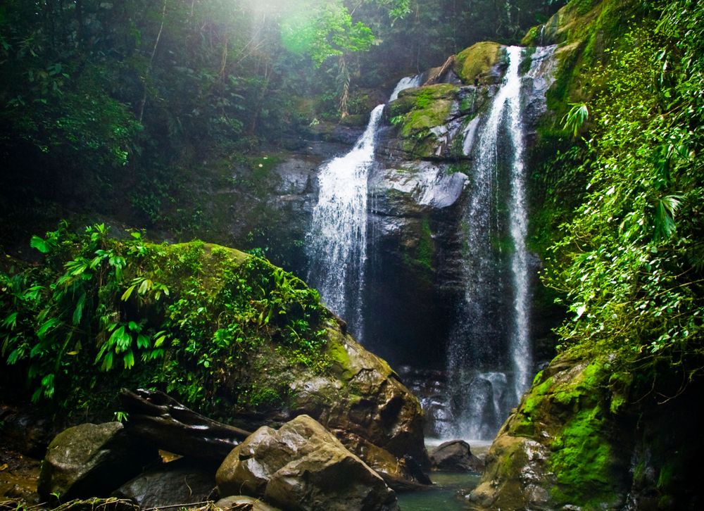 Majestic double waterfall cascades down moss-covered rocks in a lush rainforest setting.