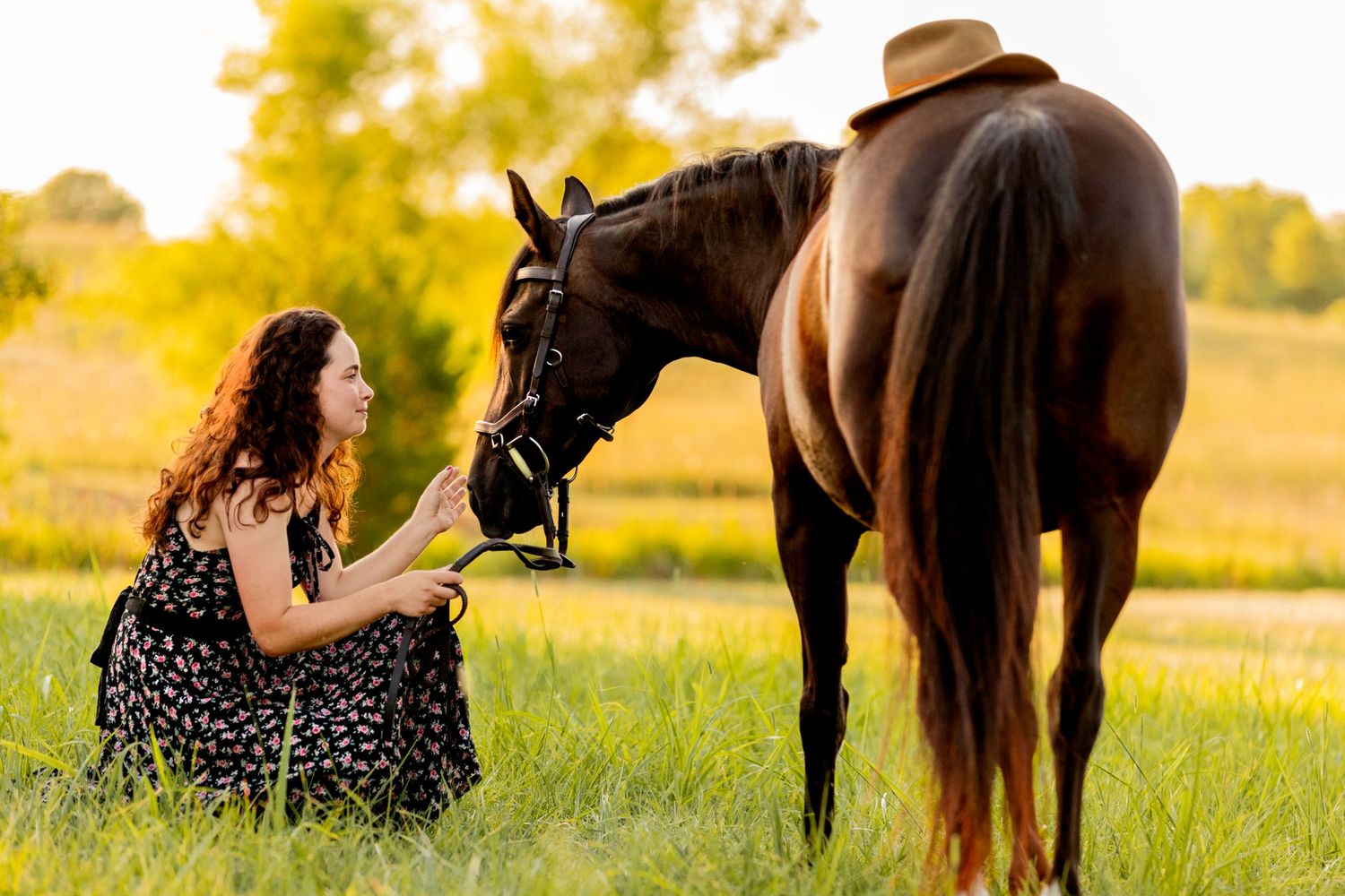 A dark bay horse nuzzles someone sitting in the grass during golden hour.