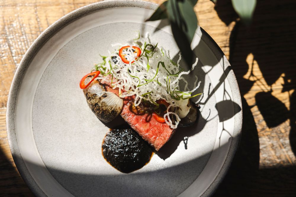 Elegantly plated salmon dish with microgreens and black garnish on a gray ceramic plate.