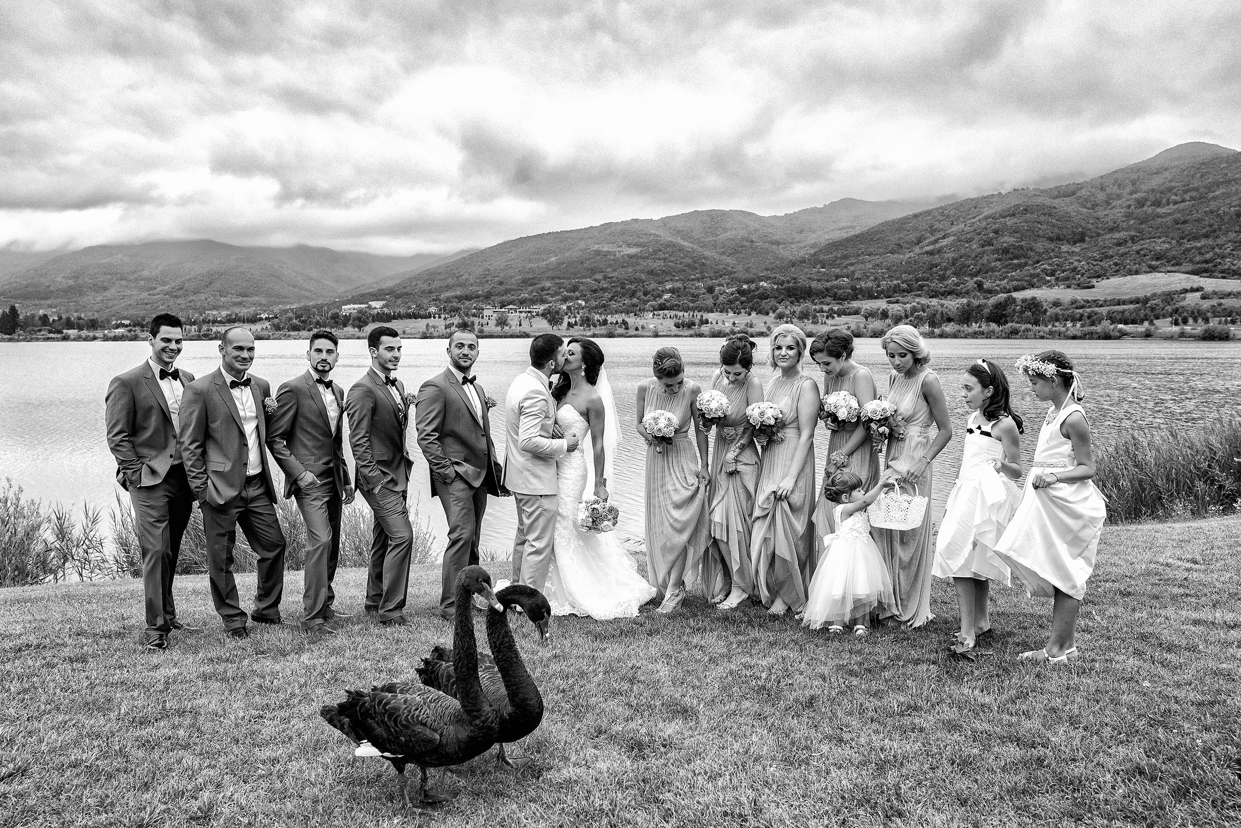 A black and white wedding party photo with a bird comically photobombing in the foreground.