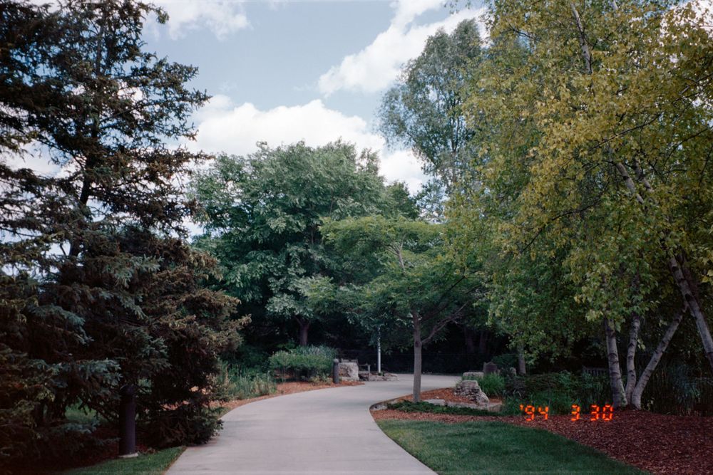 A curved driveway winds through manicured grounds with tall trees and landscaped gardens.