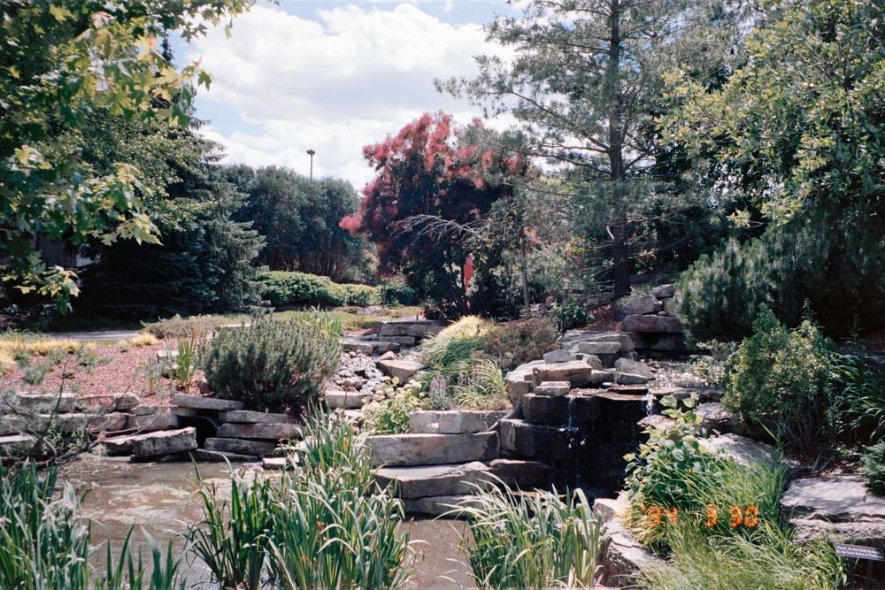 A terraced garden with stone steps and rock formations features colorful flowers and natural landscaping.