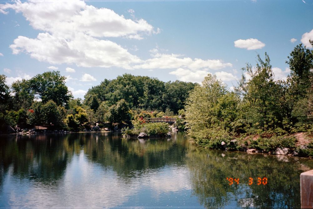 Serene lake view with trees and houses reflecting in calm waters.
