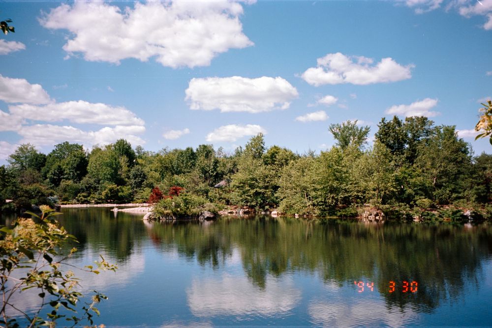 A serene lake reflects blue skies and puffy white clouds surrounded by lush green trees along the shoreline.