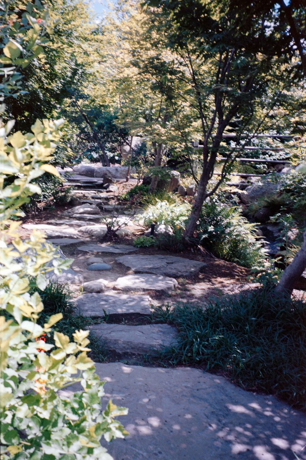 A winding stone pathway leads through a lush garden with overhanging trees and bushes casting dappled shadows.