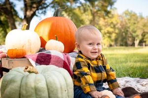 Baby in plaid shirt sits among autumn pumpkins on blanket in grassy field.
