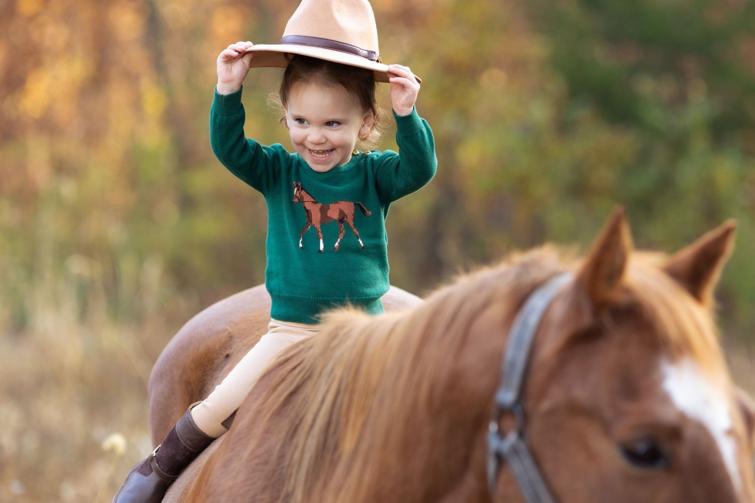 A toddler girl playing with her cowgirl hat while sitting on her aged sorrel horse in the middle of the woods, outside of Toledo, Illinois.