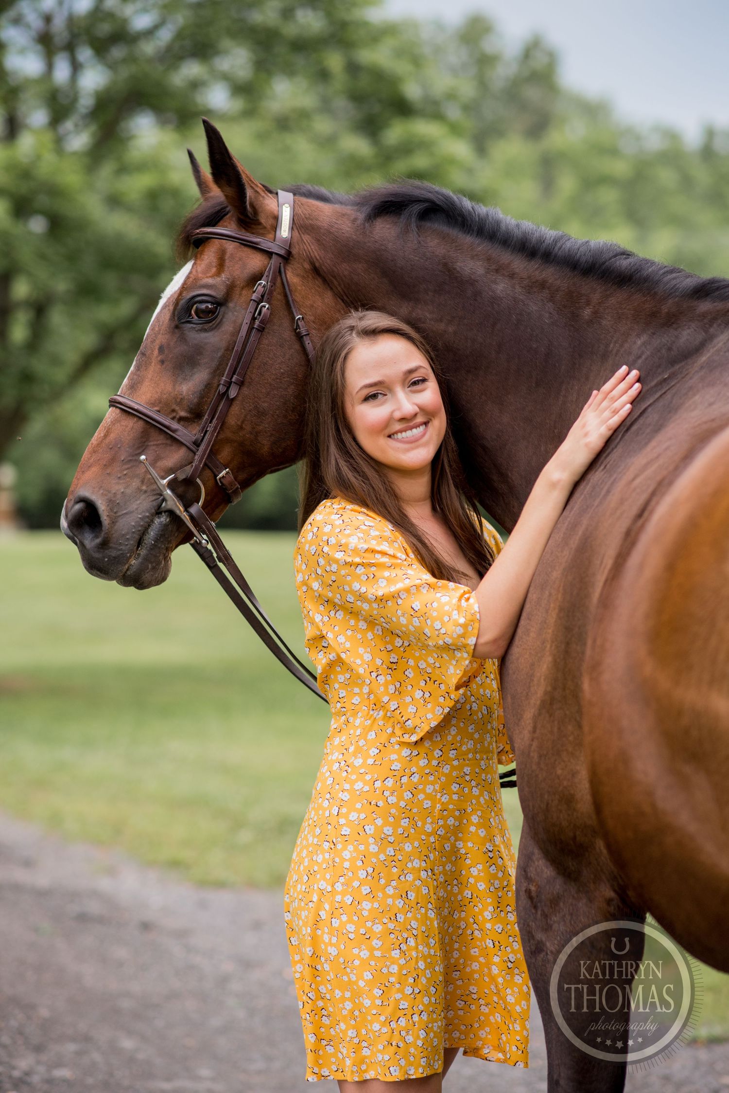 A close-up portrait with a bay horse wearing a bridle against a green summer background.