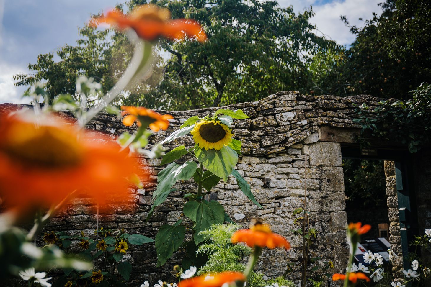 Rural and rustic such a pretty wedding venue
