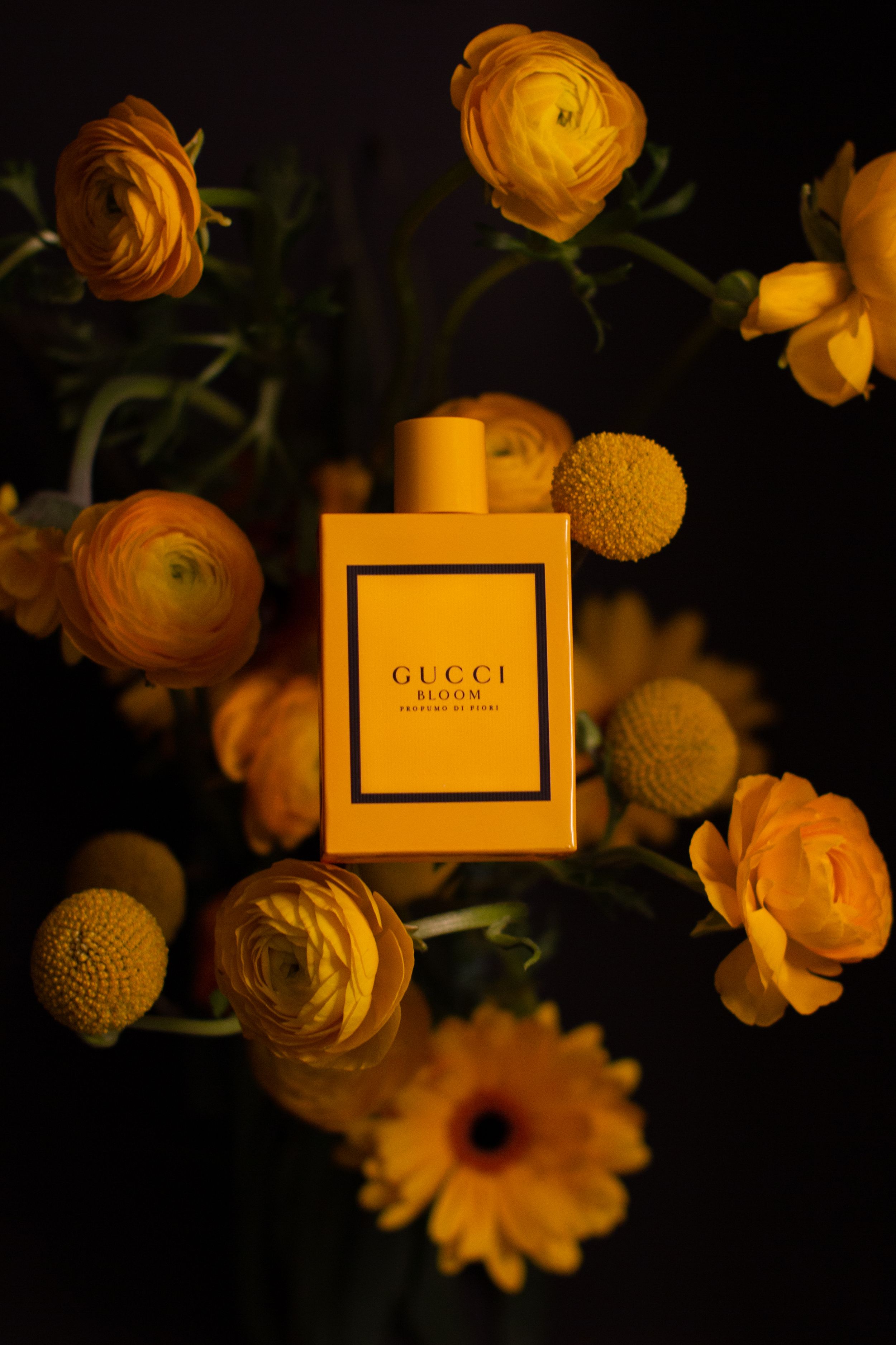 Gucci perfume bottle centered among blooming orange ranunculus and craspedia flowers.