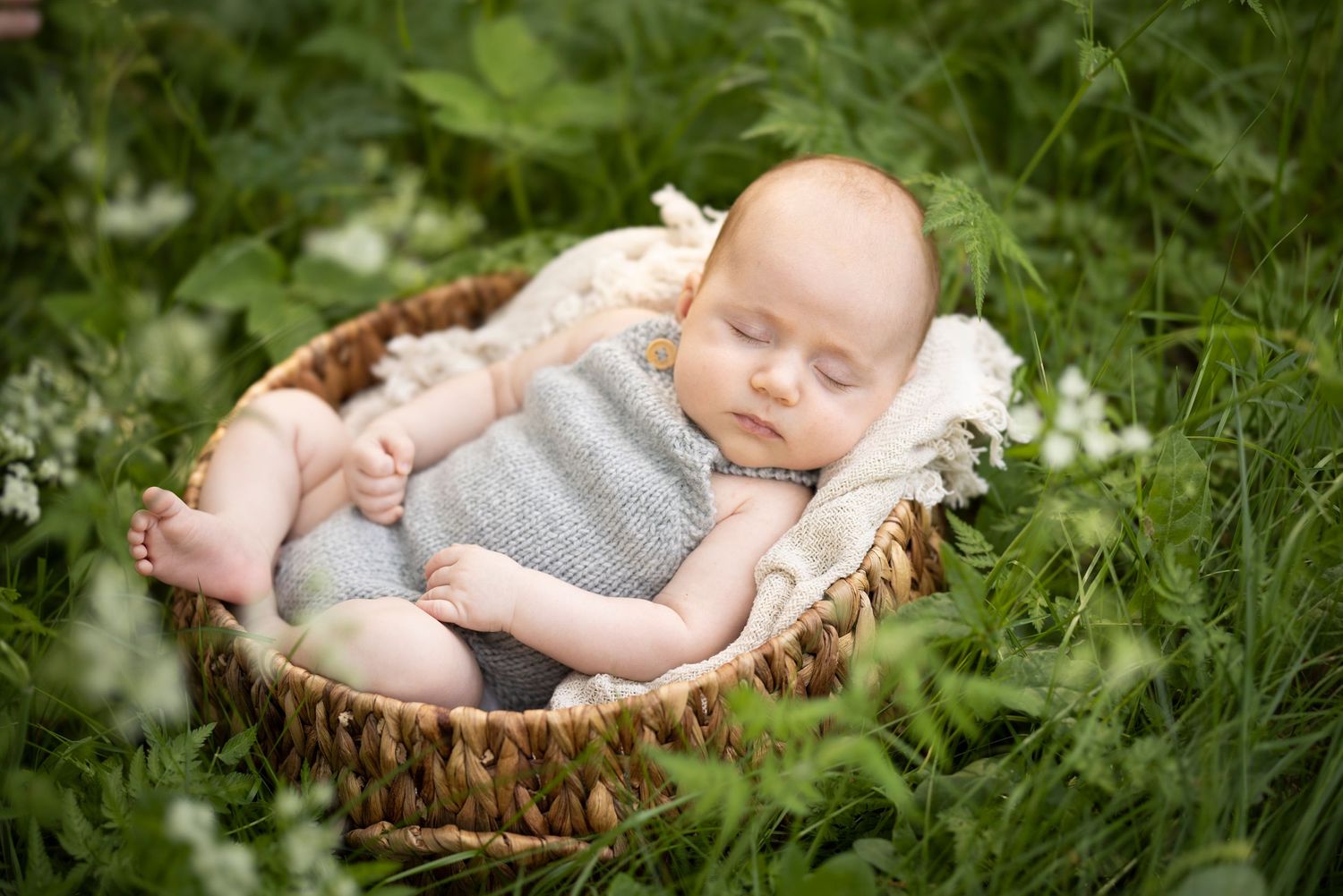 Sleeping baby wearing grey outfit rests in wicker basket surrounded by garden greenery.