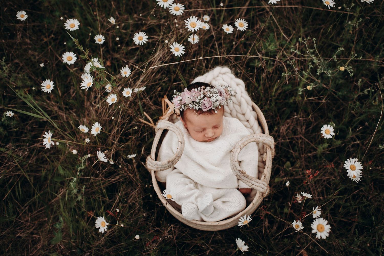 A sleeping baby in white clothing lies in a basket surrounded by fresh daisies.
