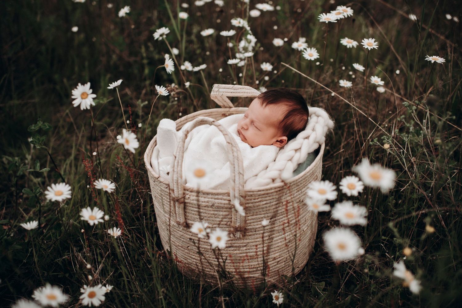 A sleeping newborn nestled in a woven basket surrounded by delicate white daisies in a garden setting.