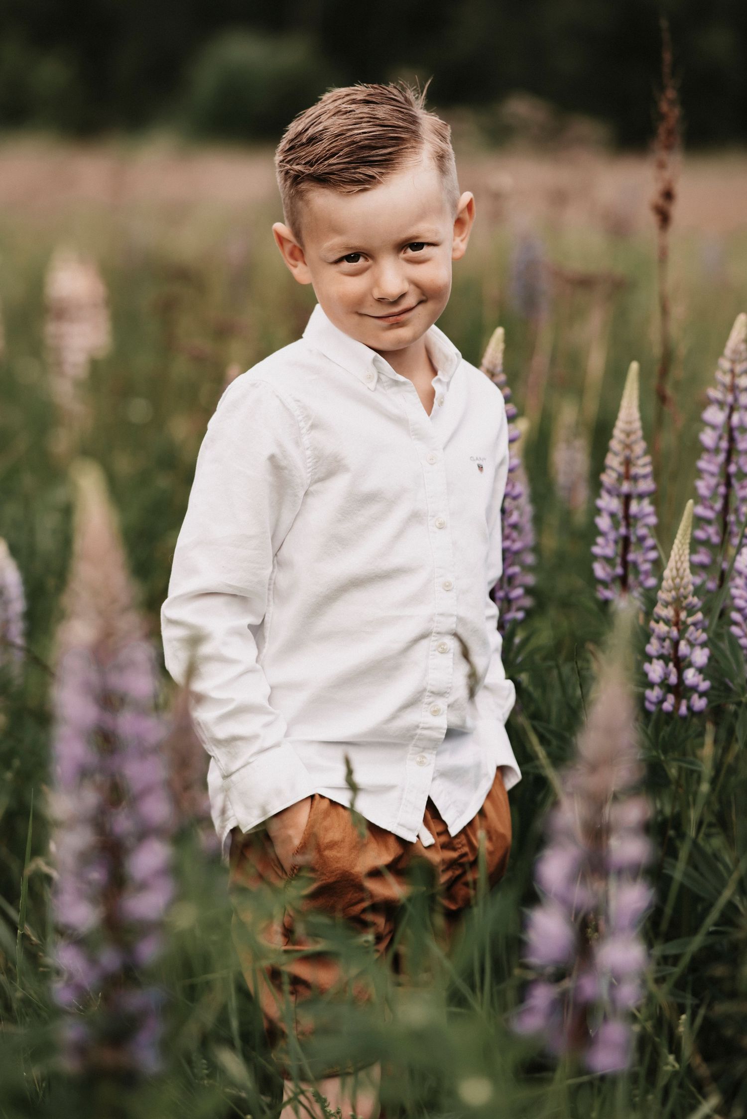 gutt i blomstereng på fotografering