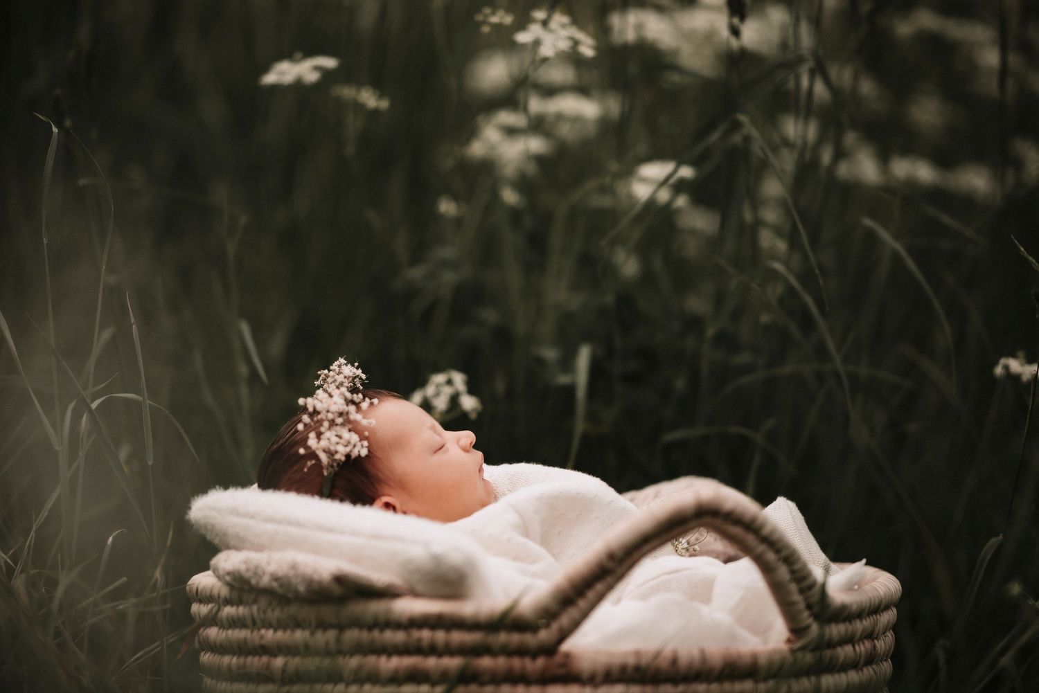 A peaceful newborn resting on soft blankets amid wild daisies in a dreamy outdoor setting.