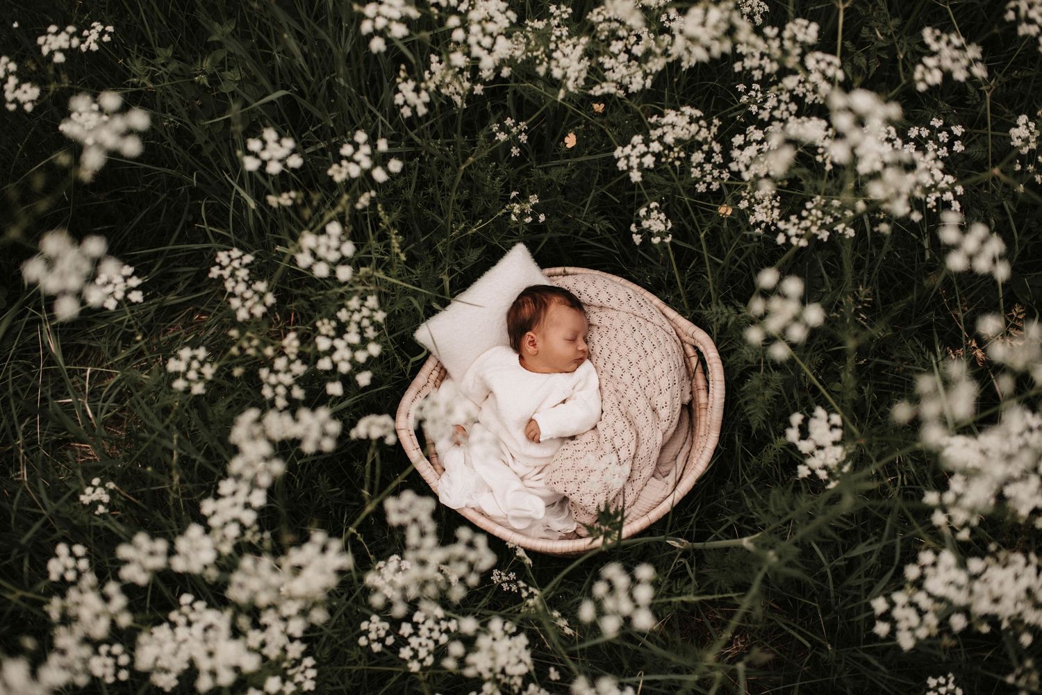 nyfødtfotografering utendørs med hele familien