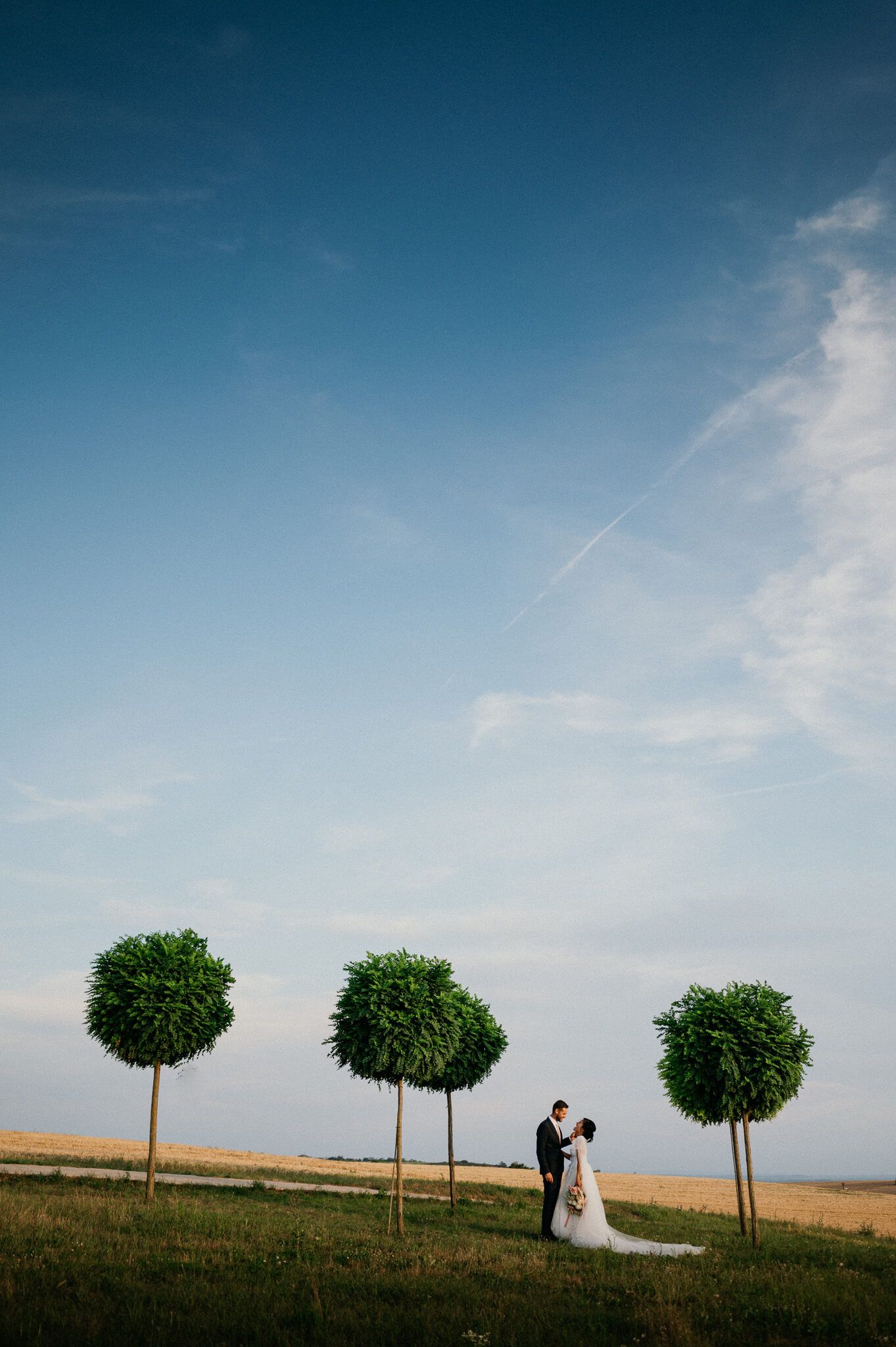 A romantic silhouette against blue sky with three perfectly spaced topiary trees in an open field.