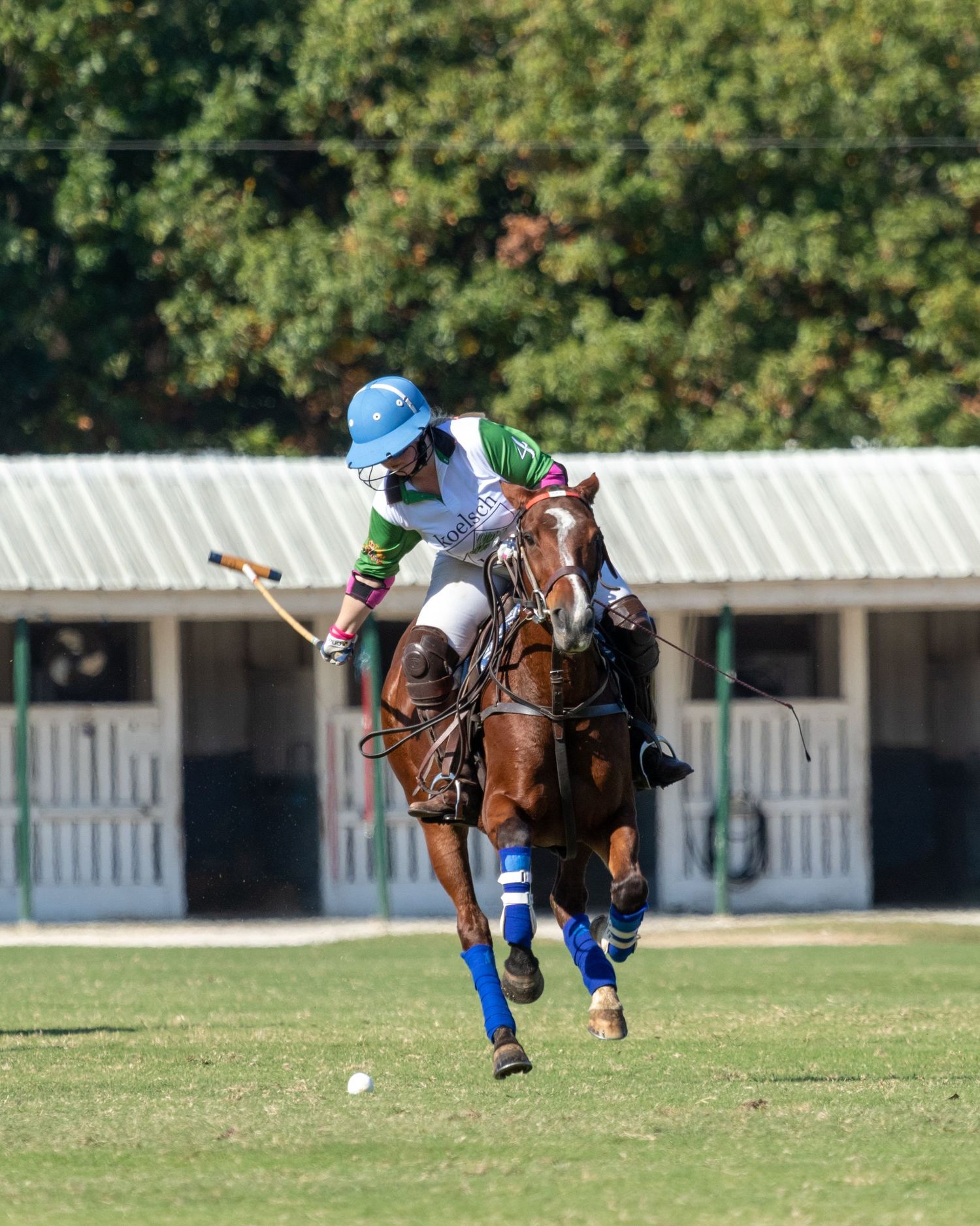 Polo
