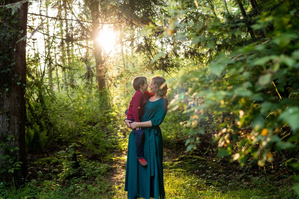 A romantic forest scene with sunlight streaming through trees creating a magical backlit effect.