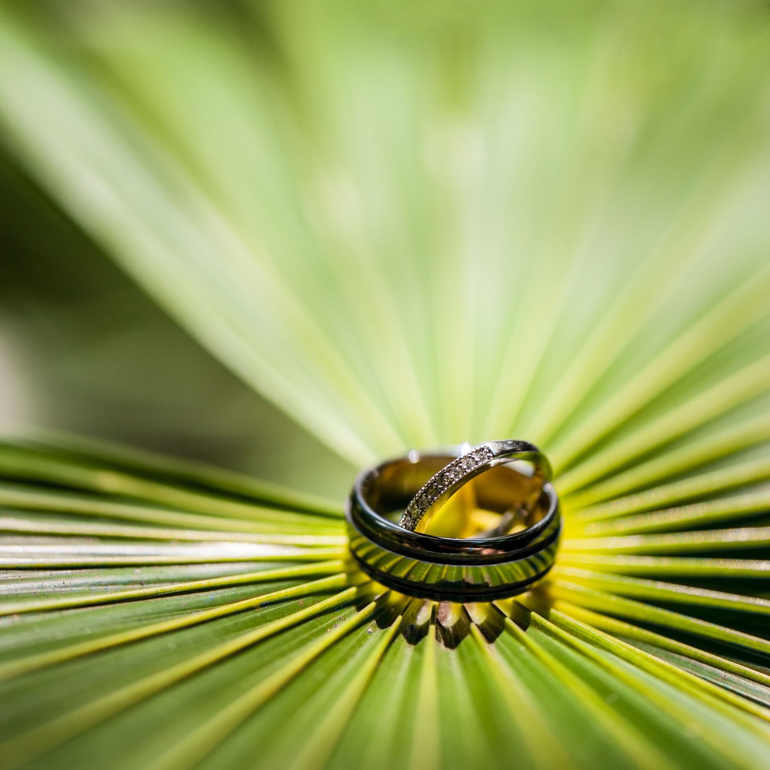Krystel_Beaulieu_Photographie_Mariage_Destination_Wedding-185