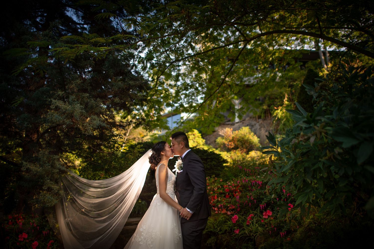 A dramatic backlit wedding portrait in a lush garden with flowing veil and red flowers.