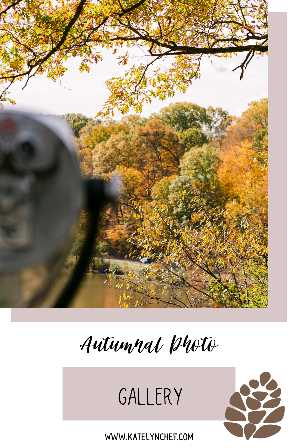 fall foliage in Ohio